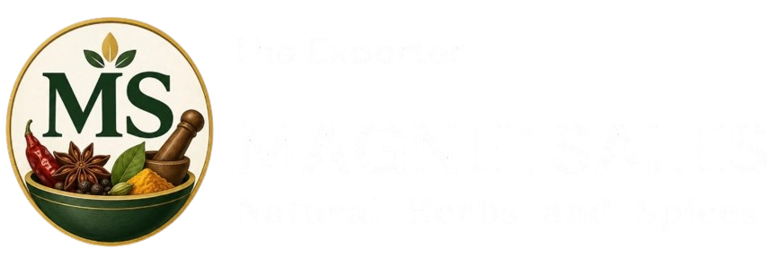 MAGNETSALES Logo