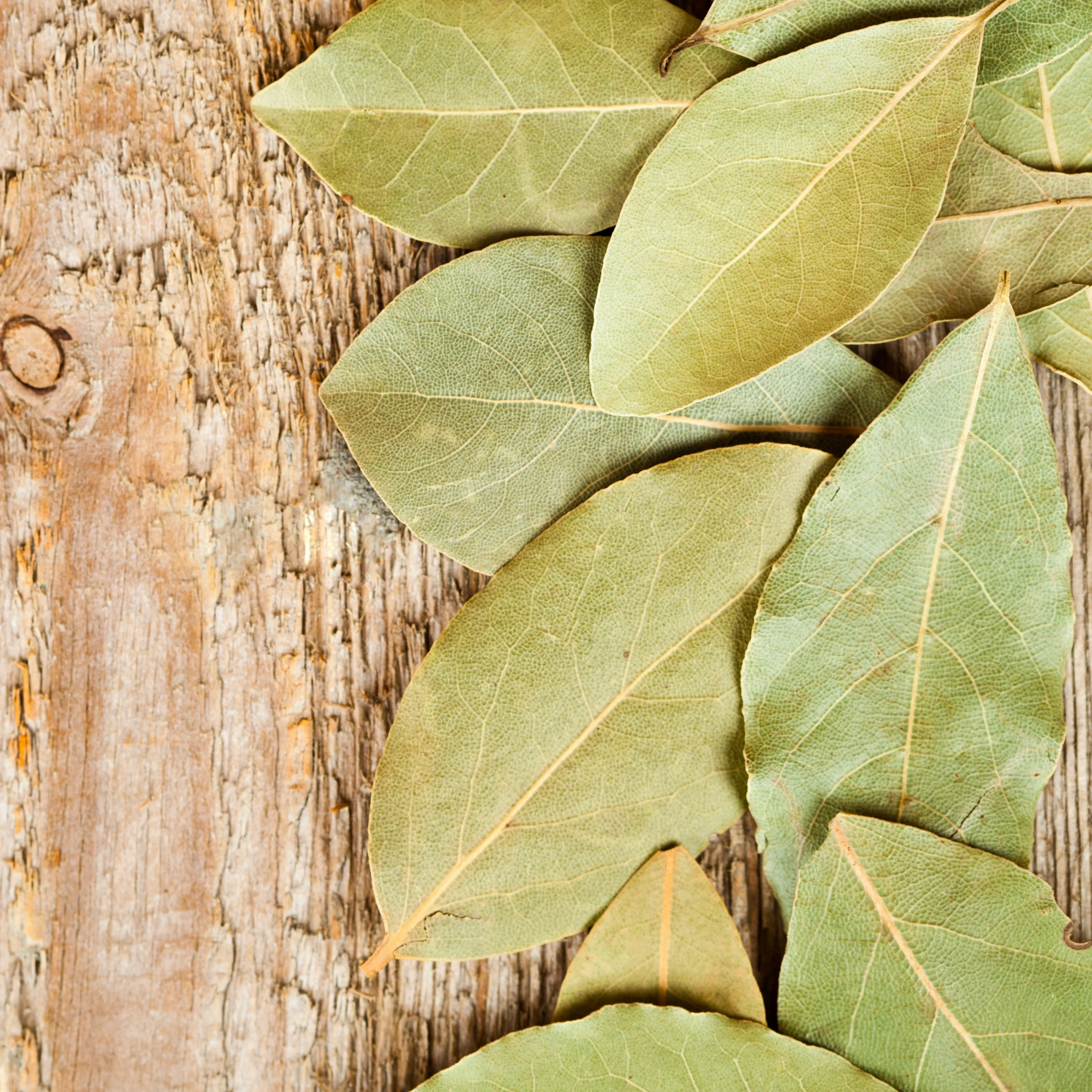 Premium Indian Bay Leaf
